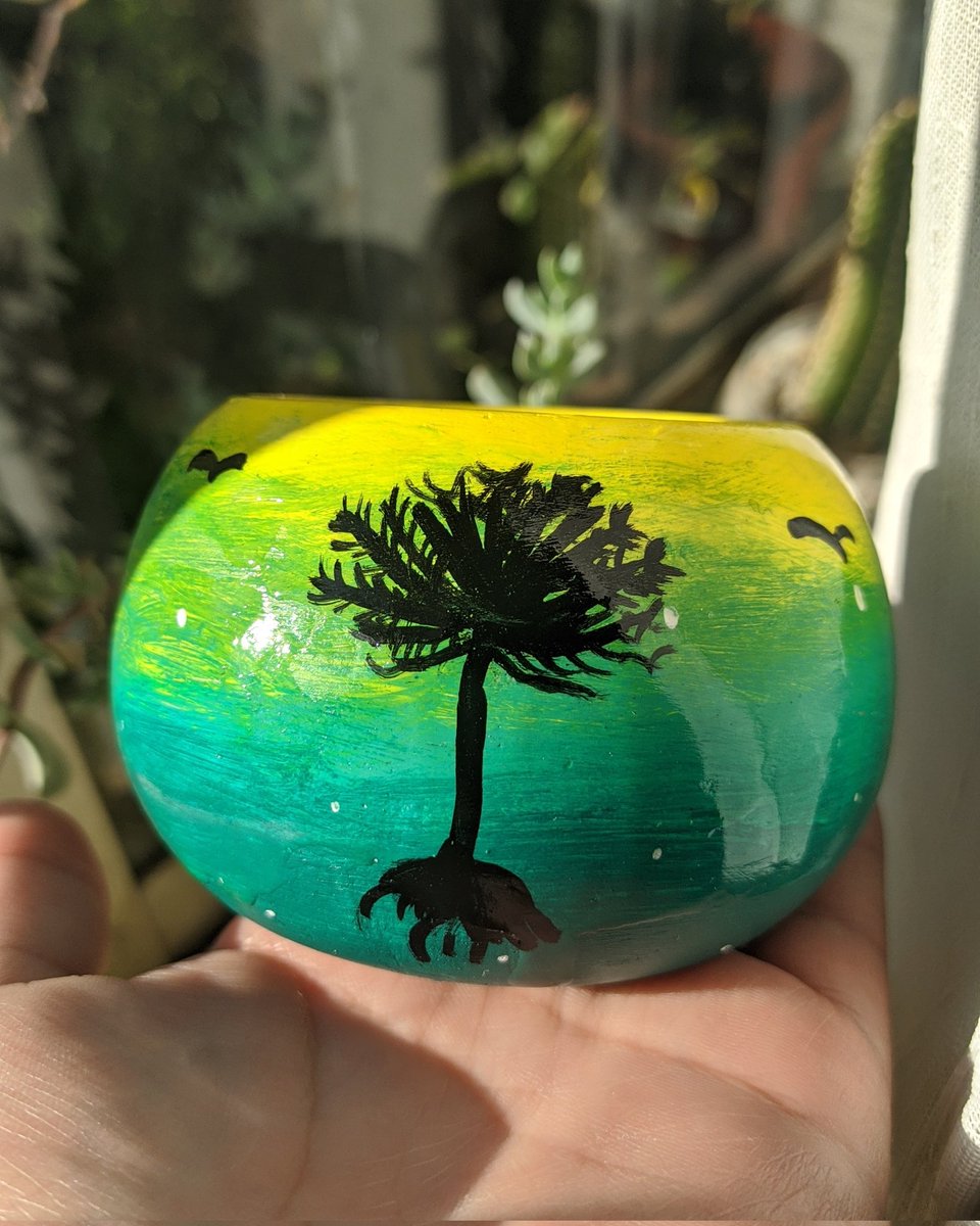 aaabi_cq's tweet photo. Amiguitos! Tengo este modelo para entrega inmediata en #Temuco 🥰🌱
Puede ser con o sin suculenta 🌱 https://t.co/NDOqNenVb6