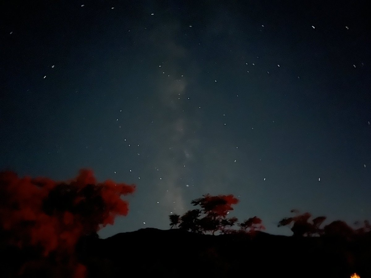 주말에 국립백두대간수목원 다녀왔다 !!

한국의 인터라켄
한국의 캘리포니아

낮에는 식물과 호랑이를 보시고 밤에는 별을 보세요