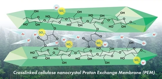Membranes_MDPI's tweet photo. #Membranes
👏New Publication
📌"Cellulose Nanocrystals #Crosslinked with #Sulfosuccinic Acid as Sustainable #Proton Exchange Membranes for Electrochemical Energy Applications" by Olena Selyanchyn et al.
#nanocellulose
#bionanomaterial
👉Read via https://t.co/FkuXG4YBXY https://t.co/uLipYvaqHO