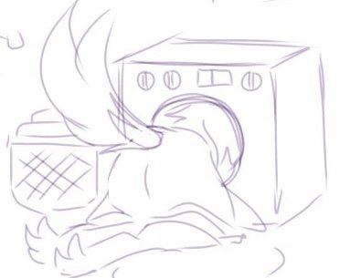 COVElSMS's tweet image. ㅤ
 
            Bird in very suspicious 
          position —–

ㅤ