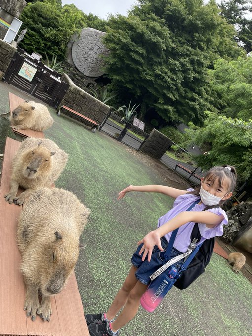 紗矢のTwitter画像43