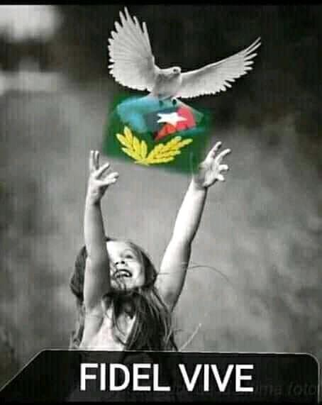DiasNandra's tweet photo. #Cuba 
#CubaPorLaPaz https://t.co/u4eJwJYuiP