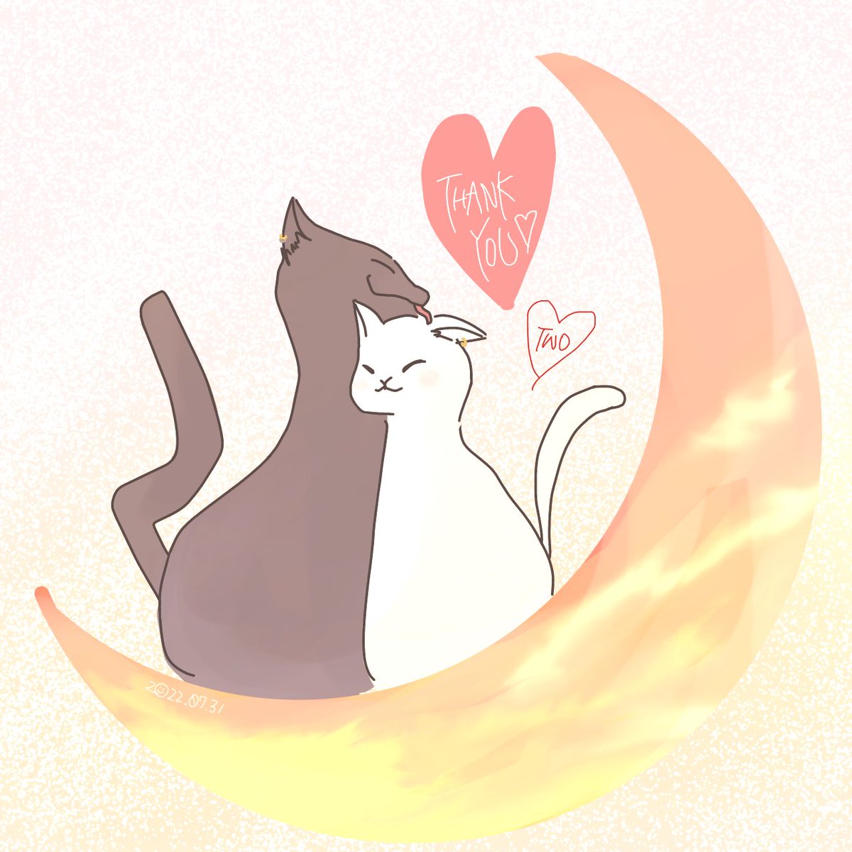 黒猫と白猫☆夫婦✭カップル☆ハート☆トレーナー✭黒地☆M☆LOVE トレーナー | linsolitemtl.ca