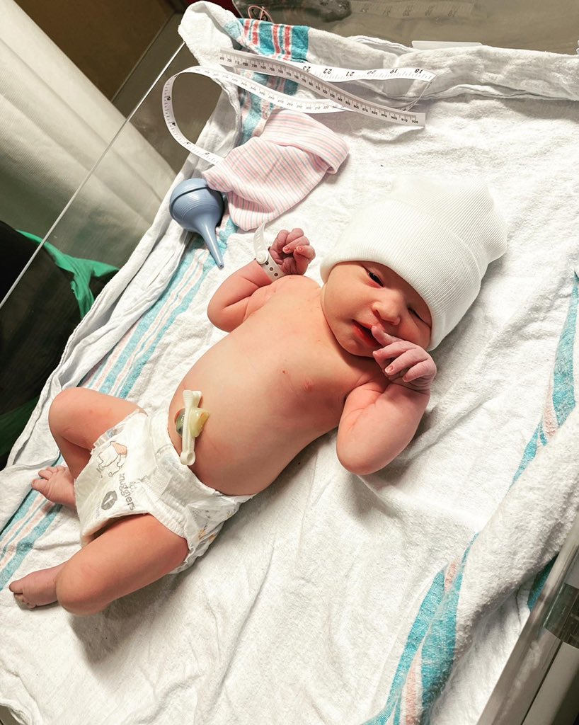 Michael Martocci tweet media