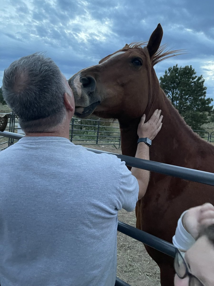 Douglas Bellah tweet media