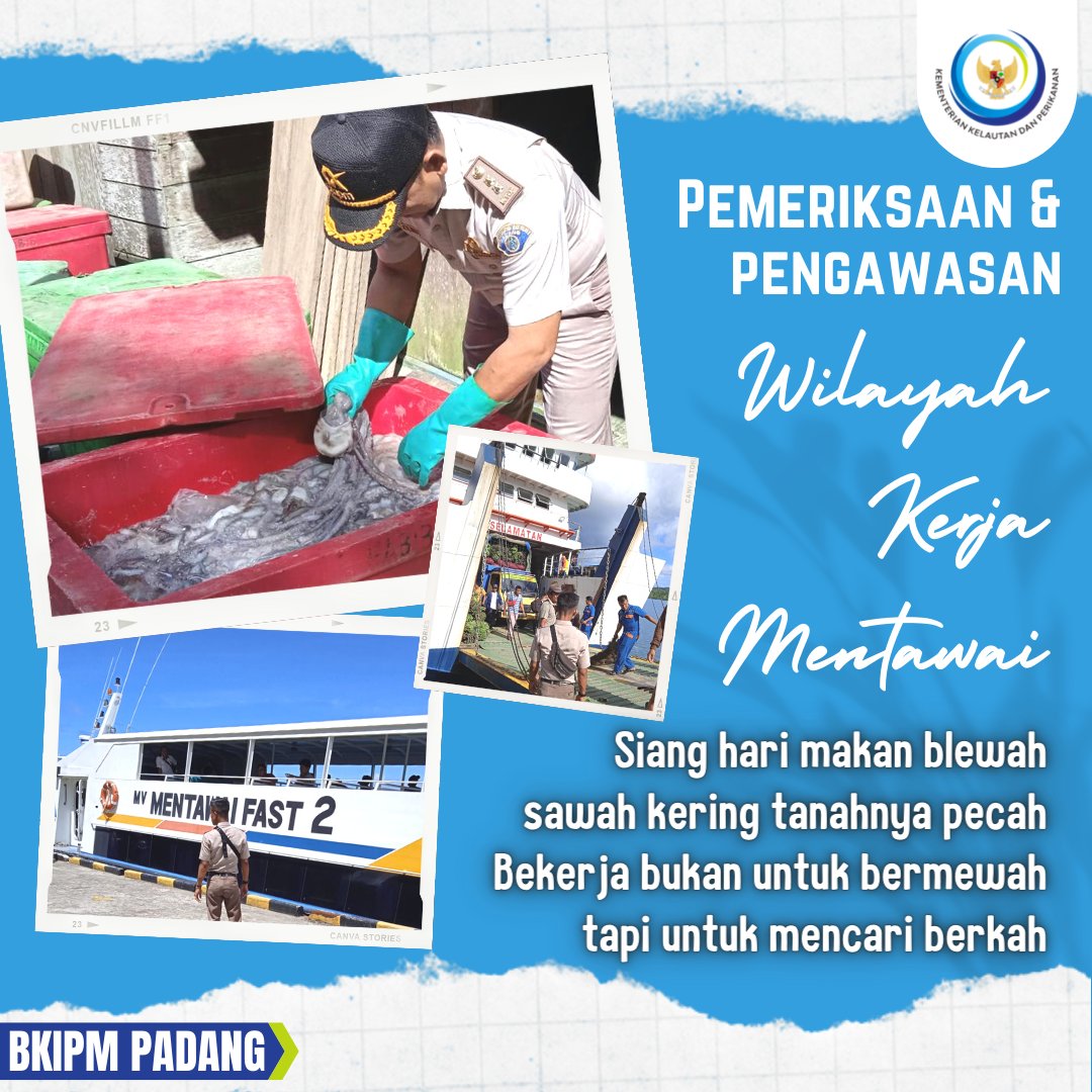 Siang hari makan blewah
Sawah kering tanahnya pecah
Bekerja bukan untuk bermewah
Tapi untuk mencari berkah

Petugas Wilayah Kerja Mentawai melakukan pemeriksaan kebenaran jenis, volume / jumlah media pembawa komoditi gurita segar (31/07).