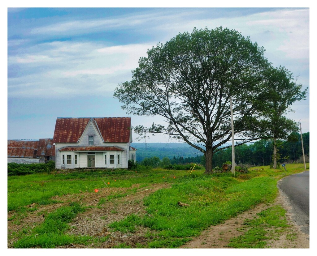 nytherapy's tweet photo. New Brunswick farmhouse, July 2022.
,
We got off the Trans Canada for a while on our trip through New Brunswick. It would take months to photograph all we saw. A quick grab with the Sony Rx100.
#rural #farm #landscapephotography #travelphotography #newbr… https://t.co/KlnnLjWyDY https://t.co/0s0X8Qyu9O