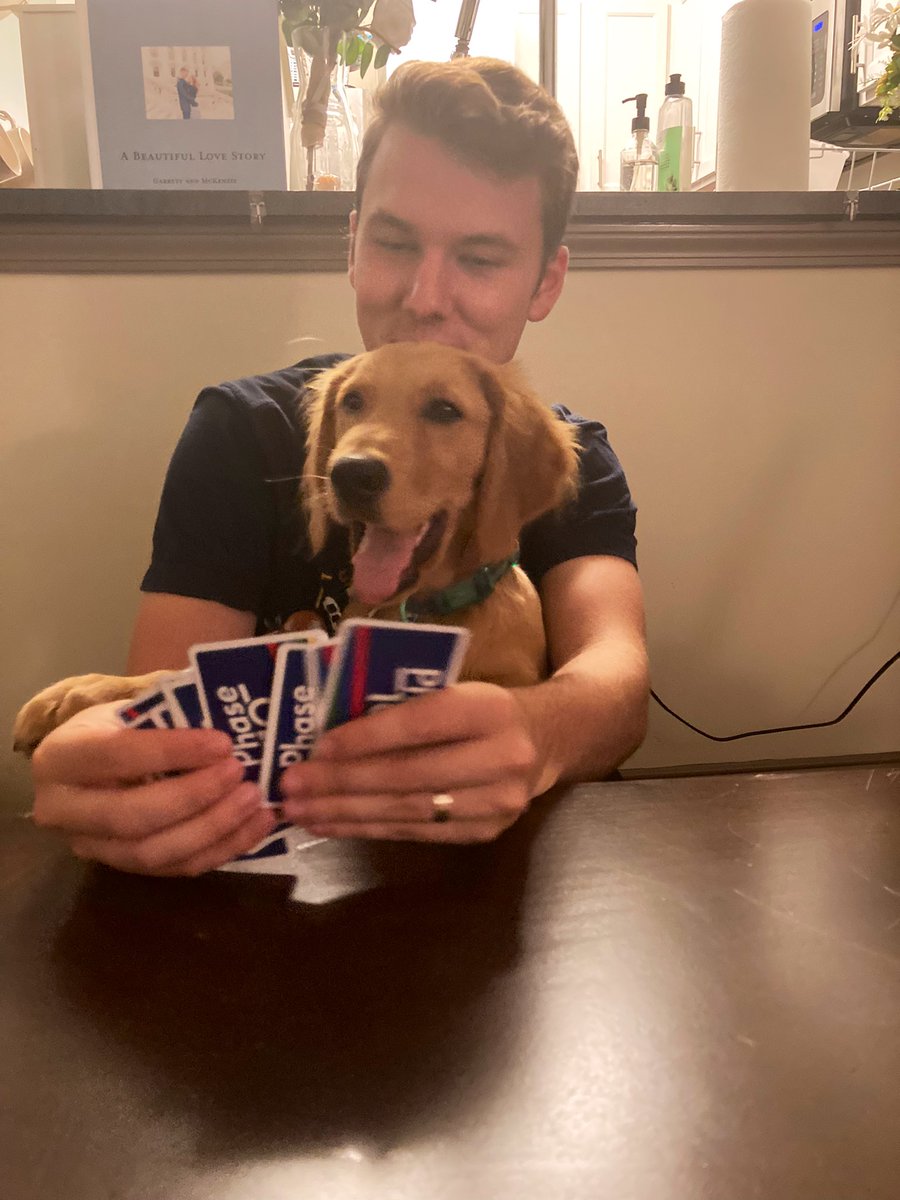 kenzinator_3000's tweet photo. the goodest boy you ever did see 🥹 https://t.co/72F18UwksB