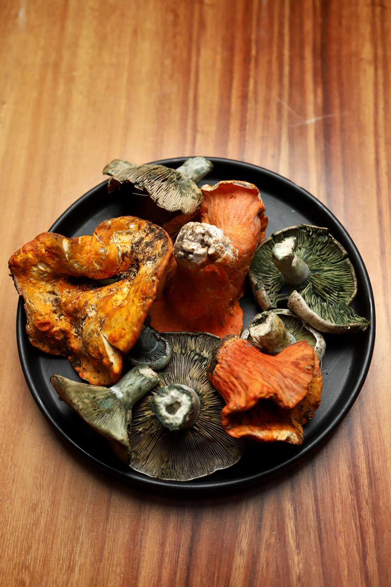 FoodandTravelMX's tweet photo. El restaurante #Mexko fue la sede para una comida memorable de "Temporada de Brillos" hecha por el chef Iván Fernando del Razo. Los Socios Club Premier degustaron la cocina tlaxcalteca, al mismo tiempo que conocieron el orígen de los ingredientes. @clubpremier_mx https://t.co/0T762FIWSk