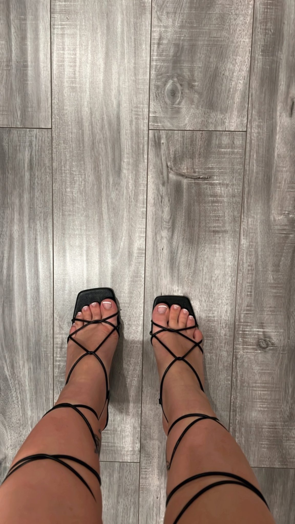 TW Pornstars - Lilith Cavaliere. Twitter. Would u suck my toes ?. 3:03 AM -  1 Aug 2022