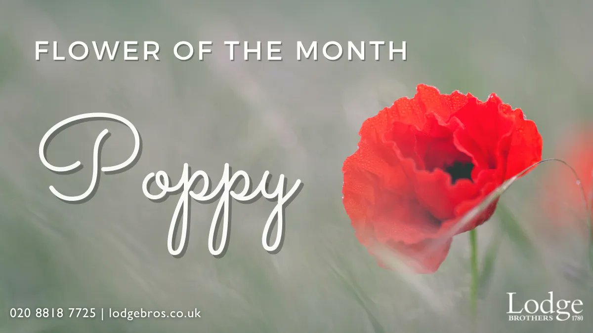 Lodge Brothers tweet media