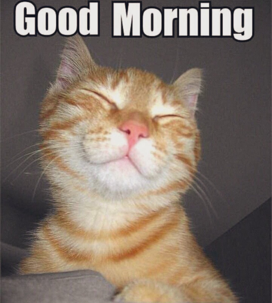 Yours Truly ✌🏼 tweet media