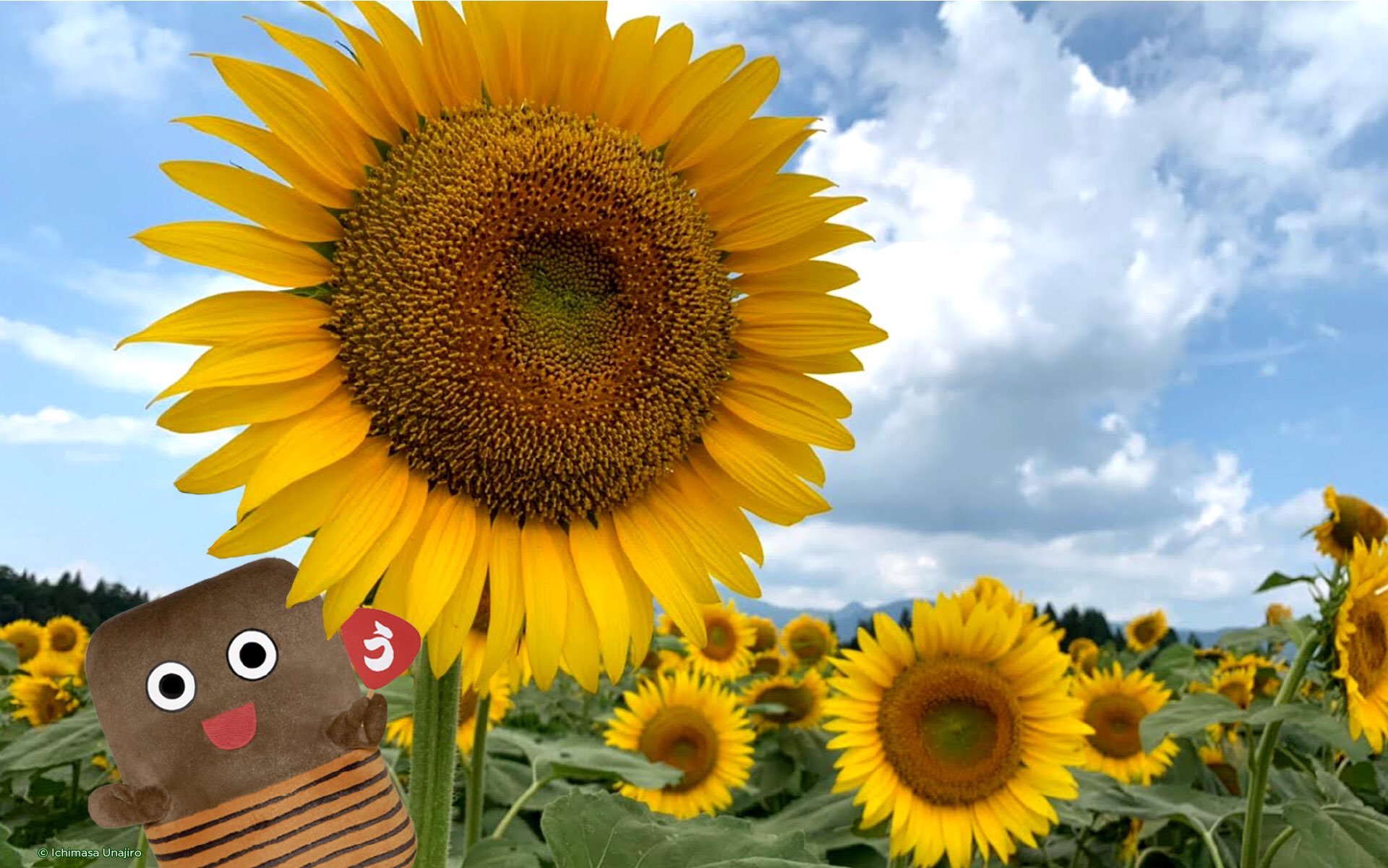 Zoom背景 Or バーチャル背景 Filter Images Min Faves 10 Or Min Retweets 10 Twitter Search Twitter