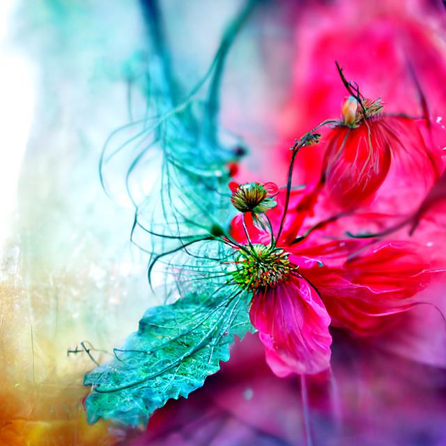 UncommnCents's tweet photo. " " - made with @NightCafeStudio 

https://t.co/HGom031jQa

#aiart #nightcafe #digitalart https://t.co/HGom031jQa https://t.co/vvr5LzkrI1