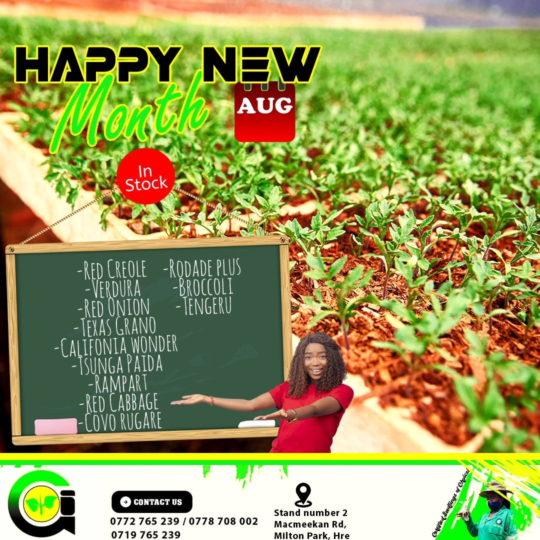 GlerbyNursery's tweet photo. Happy New Month!
We guarantee quality, healthy, and certified seedlings of choice.
For all inquiries and bookings reach us on:0778708002/ 0772765239/0719765239
#farming #horticulture #farmlifeisthebestlife #glerbynursery
#certifiedseedlings #seedlingsofchoice https://t.co/nXQy1WdwM5
