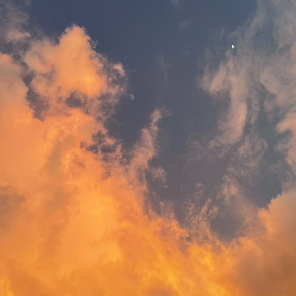 A Lick of Flame

The sky reflected how I was feeling at the time. Like the fire is catching up and I’ll soon be consumed by the burning flame. 

app.pentas.io/assets/0x3aFa1…