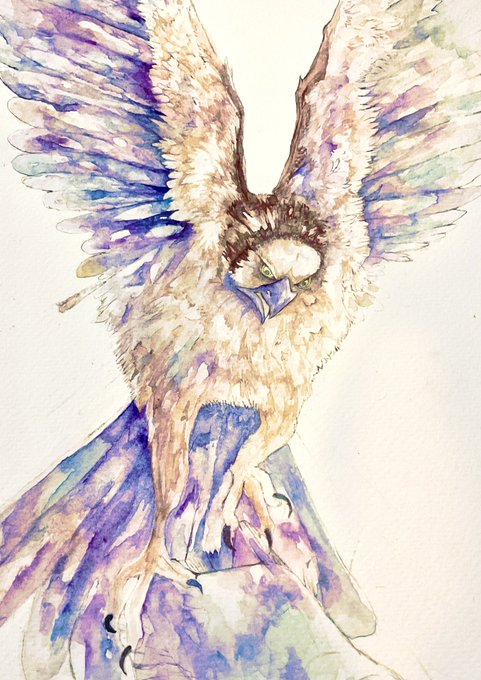 鳥イラストのtwitterイラスト検索結果