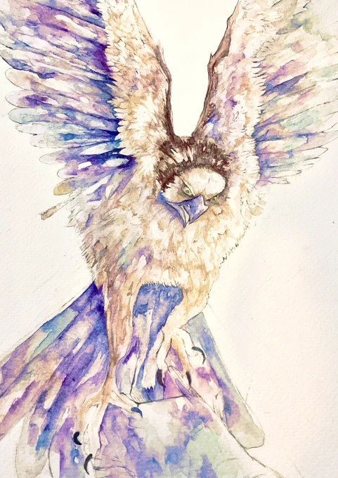 完成しました水彩画でいいなぁ。#水彩イラスト #鳥イラスト 