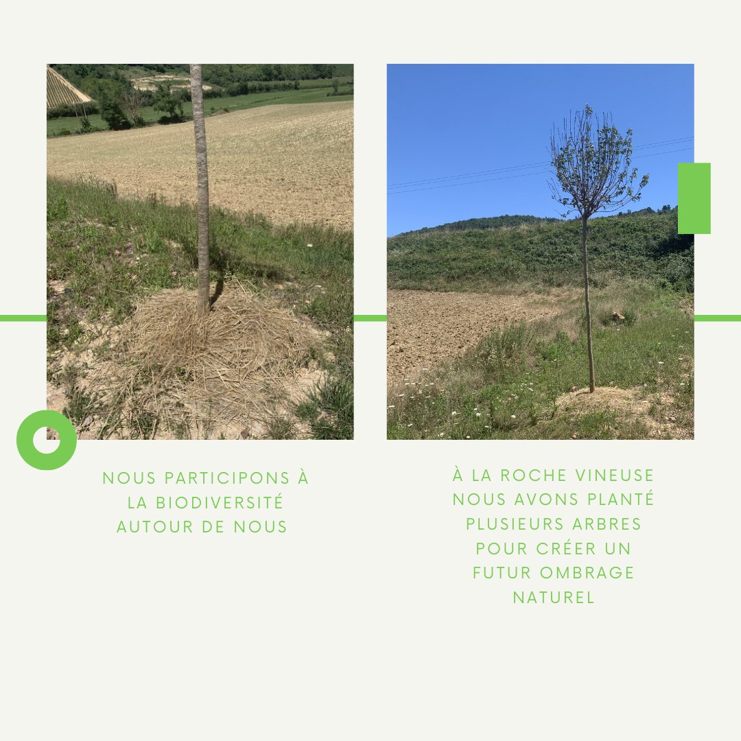 On ne plante pas que du bonheur chez nous ! On plante des arbres🌳, des fraises🍓, des tomates 🍅  et même de la menthe !!!
Notre petit jardin partagé égaille les pauses de nos chers salariés ! Et chacun met du sien !

#atelier #teambuilding #soluwatt #potager #arbre #plantation