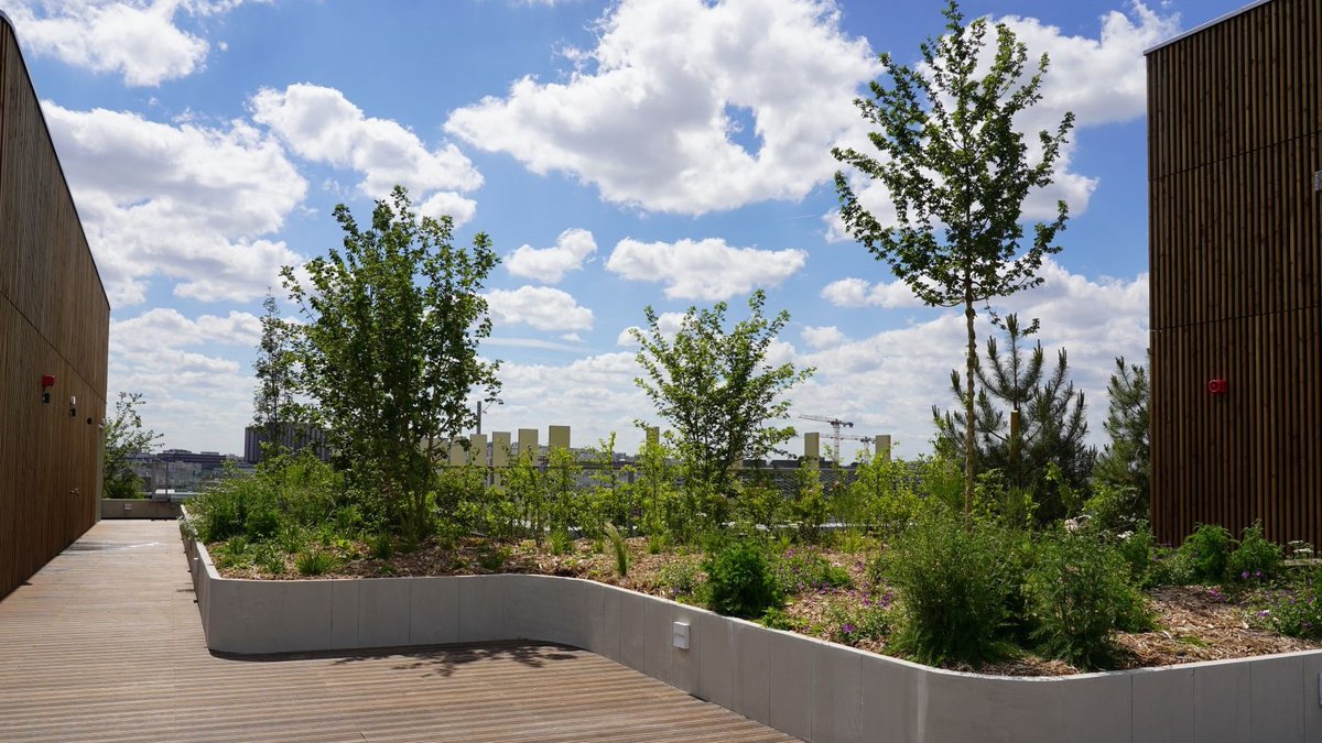 VINCIConstrucFR's tweet photo. Livré par nos équipes de #Bateg au cœur de l'éco-quartier des Docks de #SaintOuen, l’immeuble de bureaux &amp; services Harmony affiche un haut niveau de #PerformanceEnvironnementale➡️1370 m² de toiture végétalisée et 7 certifications &amp; labels environnementaux🌿🌍#ConstructionDurable https://t.co/Cf5zZ1N0lK
