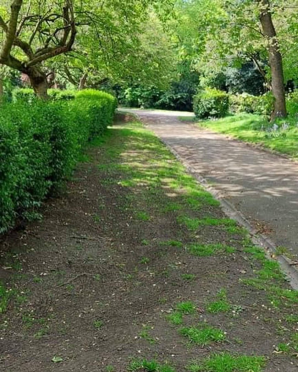 TakingRoot3's tweet photo. #BootleInBloom judging day, after #ashstreetmemorial we head to 2 amazing alley gardens in Leicester Rd + then take the judges to Derby Park's Poulsom memorial + herbaceous borders.
Followed by Oxford Gardens. All are looked after by #Bootle #community groups! #bootleinbloom2022 https://t.co/3l5i1Slnkx