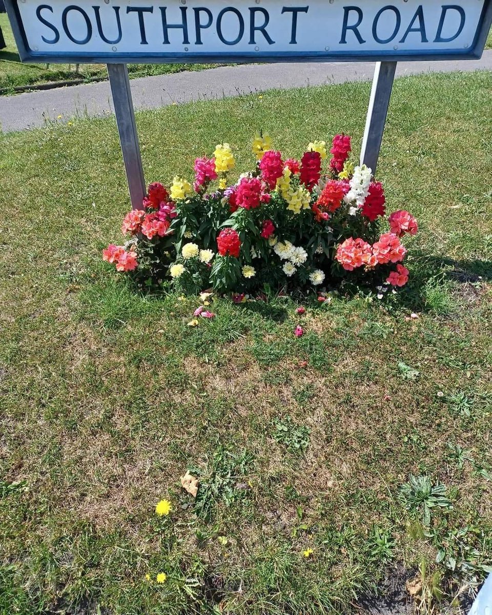 TakingRoot3's tweet photo. #BootleInBloom judging day, after #ashstreetmemorial we head to 2 amazing alley gardens in Leicester Rd + then take the judges to Derby Park's Poulsom memorial + herbaceous borders.
Followed by Oxford Gardens. All are looked after by #Bootle #community groups! #bootleinbloom2022 https://t.co/3l5i1Slnkx