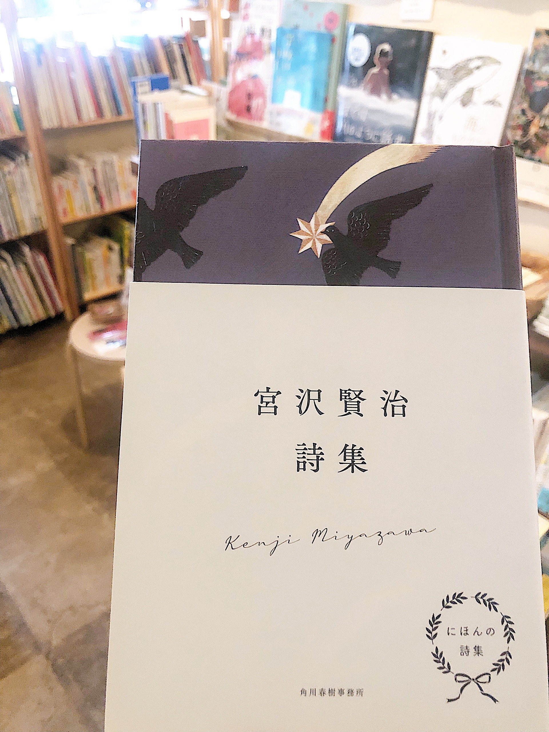 じま Rt Hirunekobooks にほんの詩集 宮沢賢治詩集 自然を友とし 文学 地質学 農学など幅広く学んだ 宮沢賢治 言葉とイメージを無限の宇宙まで広げ 解き放った詩の数々はどれも不思議な輝きに満ちている 春と修羅 永訣の朝 雨