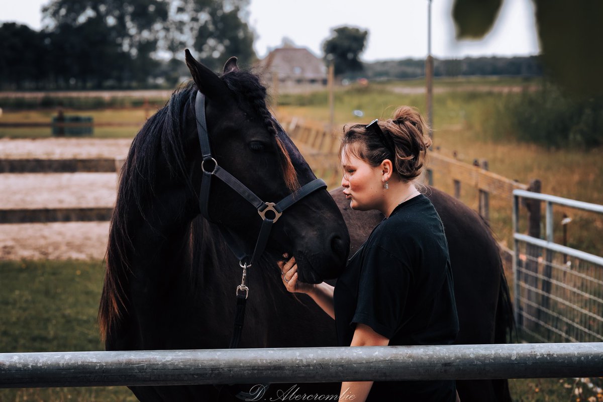 DAbercormbie's tweet photo. Ben in het weekend voor het eerst wezen jagen. Uiteindelijk heb ik dit prachtige paard geschoten 📸 https://t.co/6YsW4wKl8b