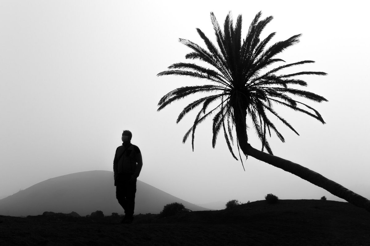 DEM57557279's tweet photo. LOST IN CALIMA 
Masdache, Lanzarote, 2022
#blackandwhitephotography #palm #Lanzarote #Silhouette #Highlights #vulcan #calima #Spain #Canarias #photooftheday #photo #lost # https://t.co/YeJgCZZnQk