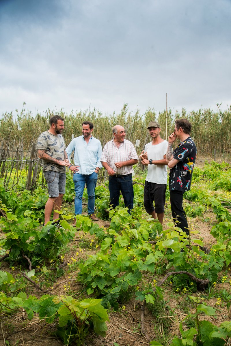 On the Island of Porto Santo, it is said that the beaches have healing powers. In the vineyards of Mr. Cardina,  our, Nuno Faria made his first wine with António Maçanita, creating the company "Profetas e Vilões". And in this 4th episode they went to taste it.😅🍷