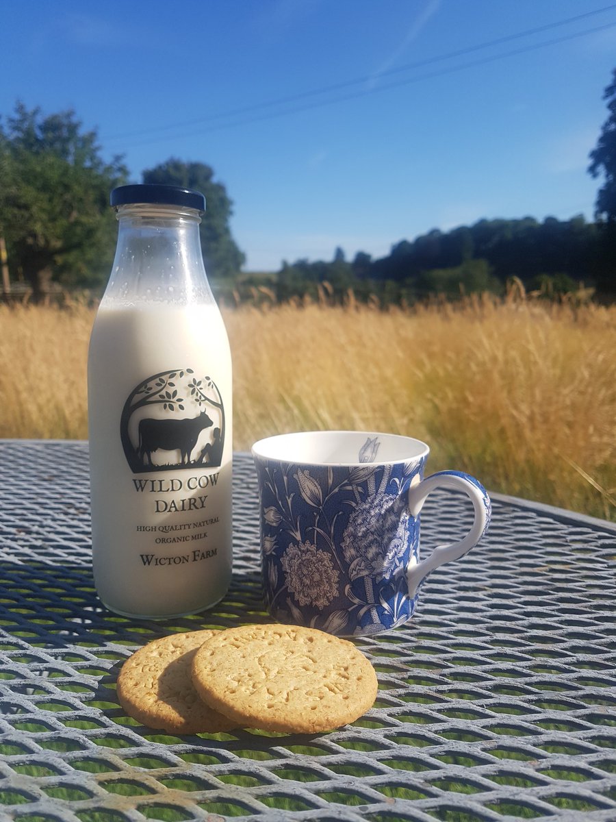wictonfarm's tweet photo. If you have missed out on your morning coffee or just fancy something cool and refreshing to give you a boost come and try our new cappuccino flavoured milkshake! #milkbot #organic #local #milkshake https://t.co/wB9UGG7saH