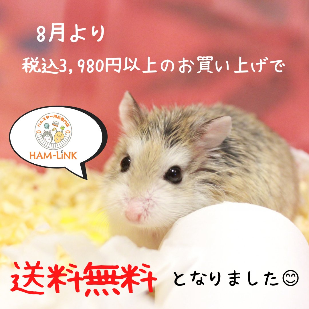 ハムスター用品専門店ham Link Ham Link22 Twitter
