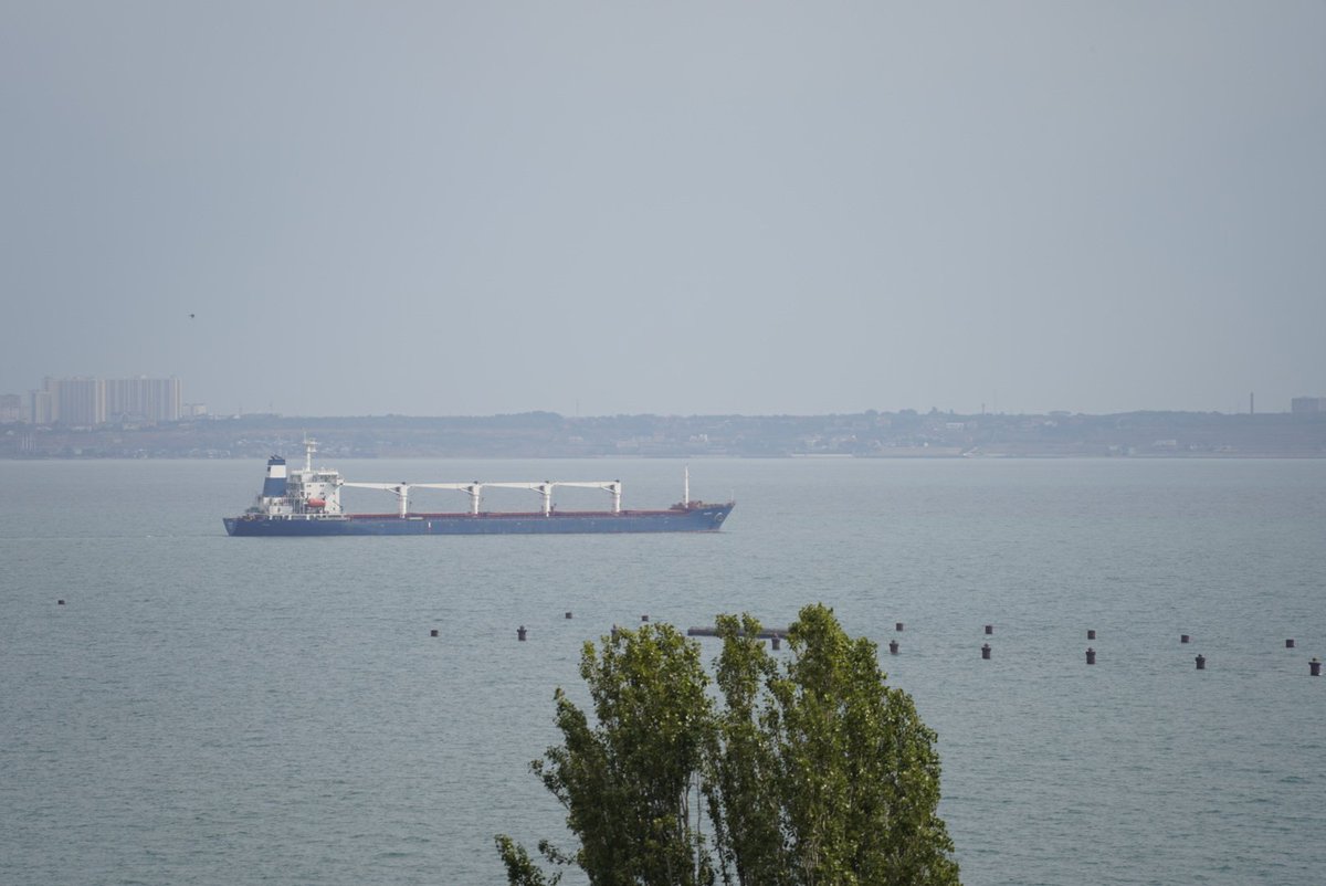 Le Razoni, cargo chargé de 26000 tonnes de maïs ukrainien vient de quitter le port d'Odessa à destination du Liban, via Istanbul. Premier navire marchand à quitter un port ukrainien depuis le début de la guerre. #odessa #UkraineWar #grain