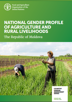 FAOMoldova's tweet photo. Women in 🇲🇩control 19 % of the total farmland &amp; own less than 12 % of all types of machinery and equipment. These are some of the gender inequalities that impact on agricultural production and rural livelihoods in 🇲🇩 Read more in #FAO report ➡️ https://t.co/JxrlABse8S #Agenda2030 https://t.co/I3T2ufrjN7