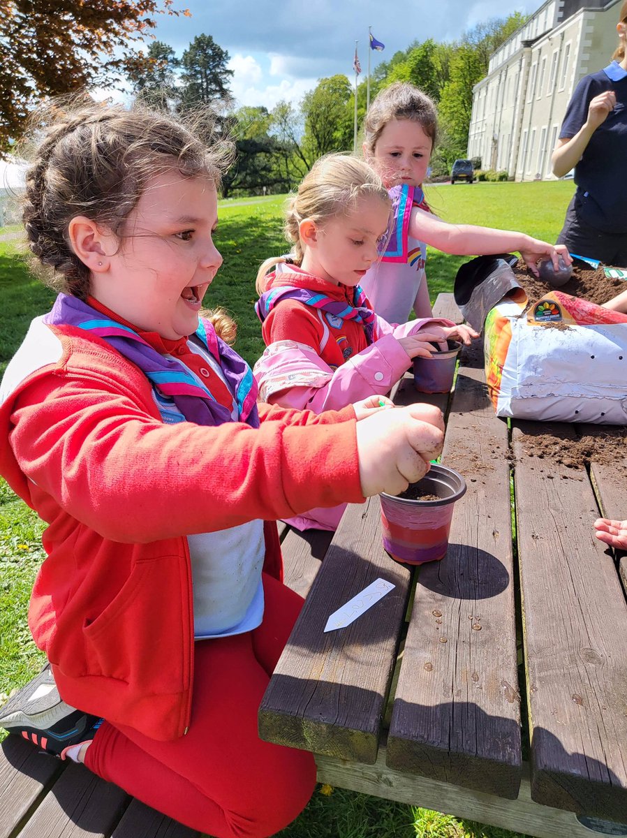 Girlguiding Merseyside tweet media