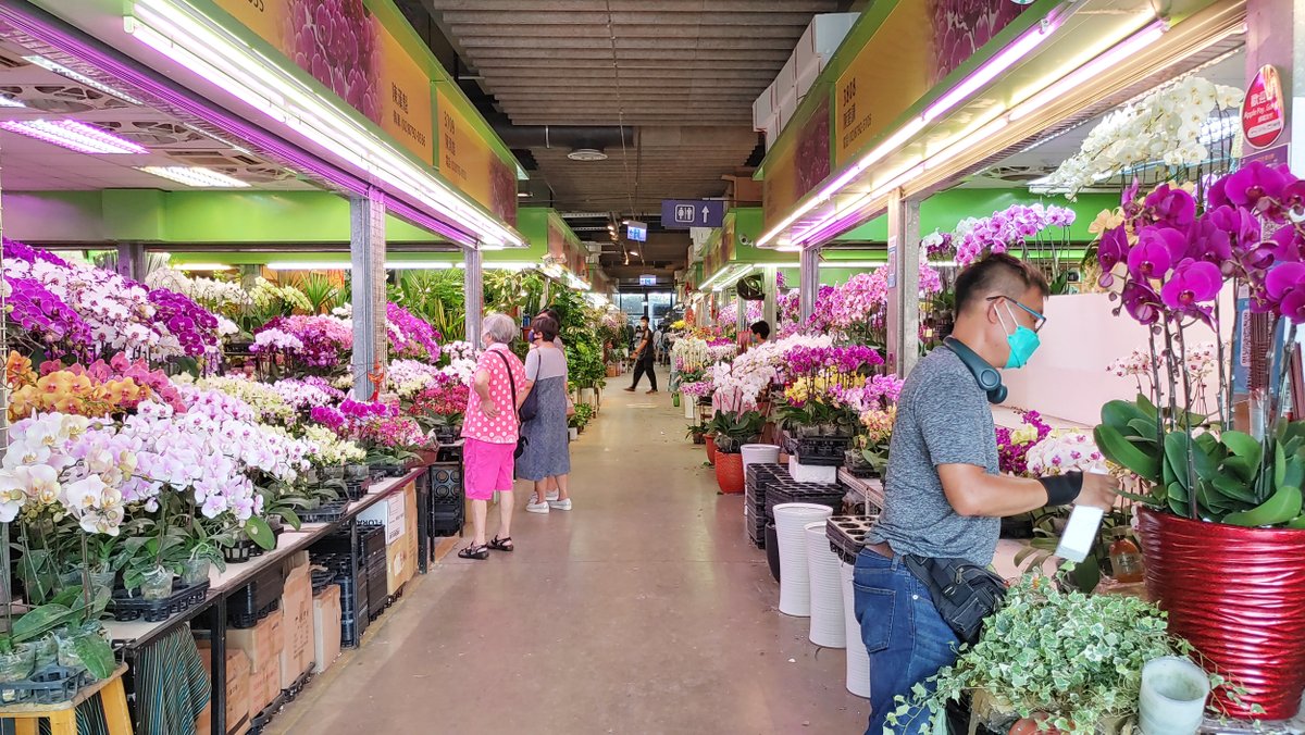 WandererTaiwan's tweet photo. ★看影片:https://t.co/FuhSSx425V
臺北市內湖區的「台北花市/台北花卉批發市場」。
Taipei Flowers Auction/Taipei Flower Wholesale Market
#台北花市 #內湖花市 #內湖 #台北花卉批發市場 #Neihu #臺北花市 #Taipei #臺北 #台北 #Flower #街拍 #Taiwan #台灣 #台湾 #臺灣 #대만 https://t.co/U7QIYidqYT