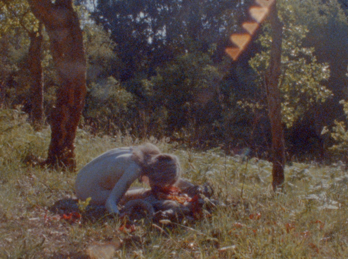 DanielAndClara's tweet photo. Norfolk friends! This Friday we'll be heading to the wonderful @GroundworkKL in King's Lynn to present an evening of films as a part of our Landscape Imaginary tour.
Free event – book here: https://t.co/UHIZpHsd0c
#groundworkgallery #enviromentalart #norfolk #eastanglia https://t.co/U0SYMaH4Ka
