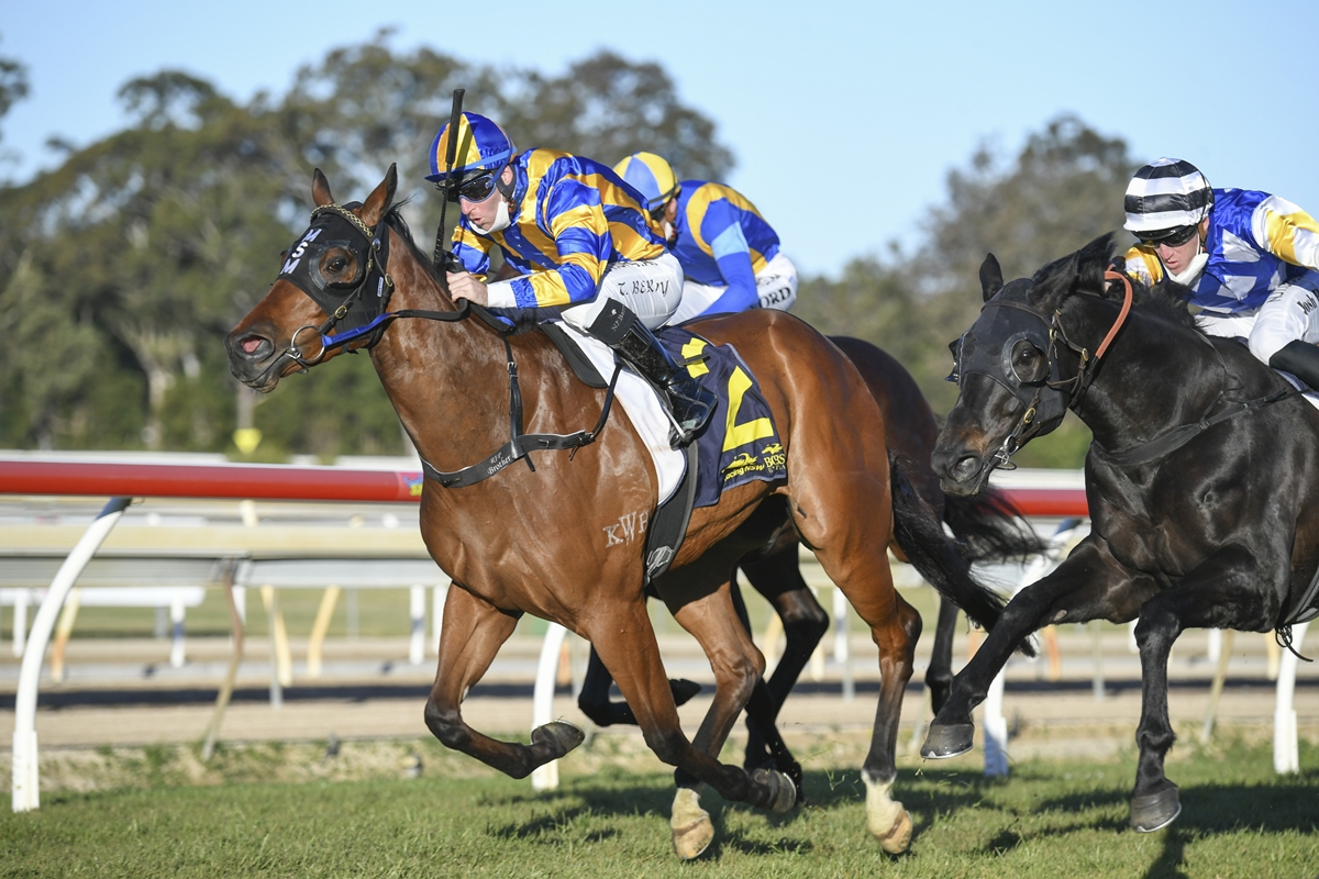 Minervini Racing tweet media