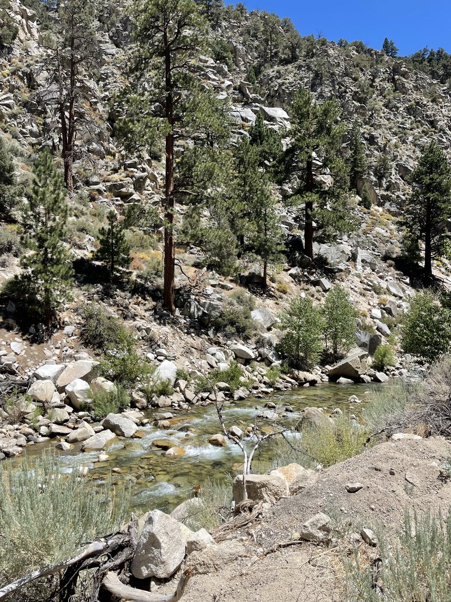 tripleMMeaning's tweet photo. Ok, I took two.
#WalkerRiver #Route395 #EasternSierras https://t.co/wTDmdfPZIu