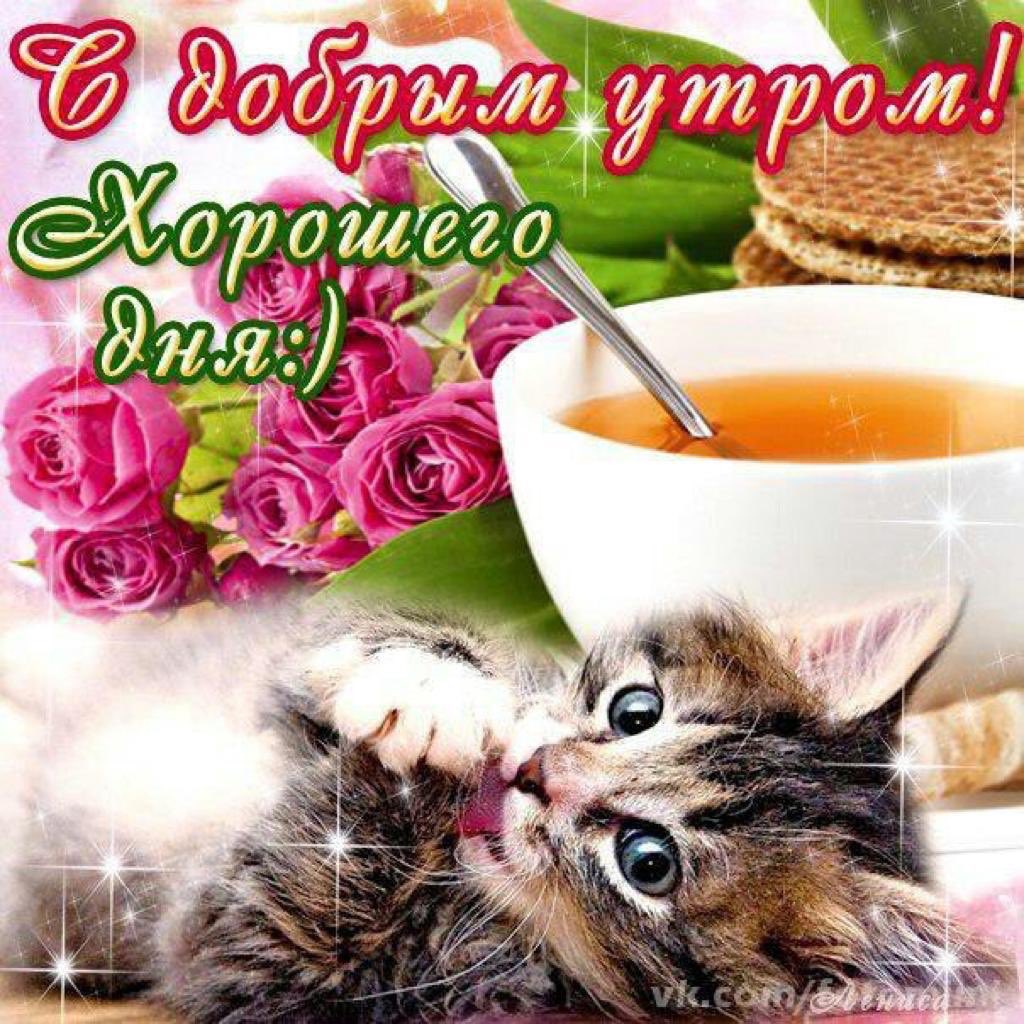 Доброго утра и отличного нас