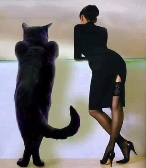 ᗩᒪᎥᑕᗴ 𝐍⊕᙭ tweet media