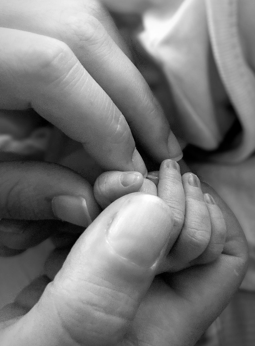 Uzun metrajımıza yeni bir oyuncu katıldı. Başrolü elimizden almaya niyetli.. 🌸🐣
28/07/2022