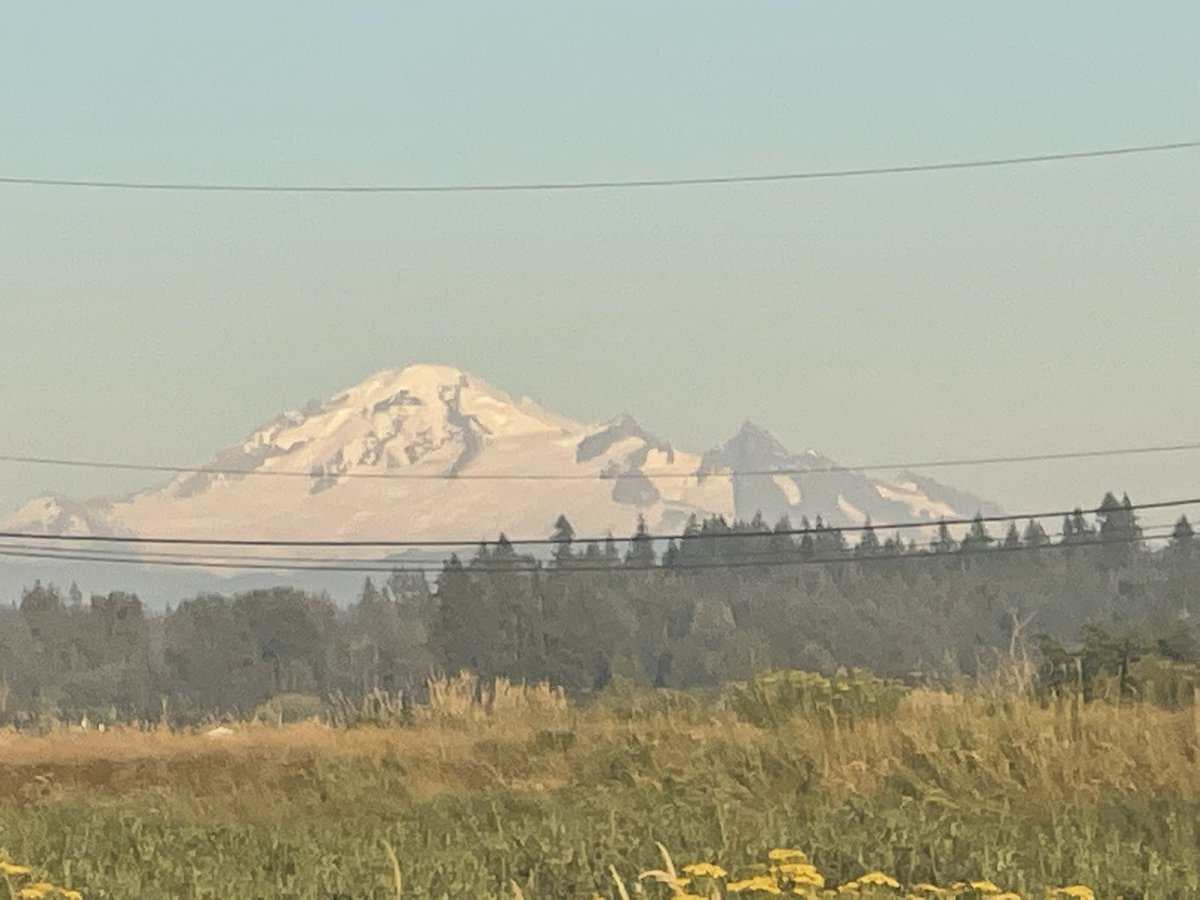 jammer951's tweet photo. This week I had my last day of the graduate program and, then decided to celebrate in style down in Lummi USA #brightfuninthesun #Celebrate2022 #Mastersisnext #SFU #Lummi #SilverreefCasino #FamilyFun #HittingJackpotsin2022 https://t.co/VXfThFmVfu