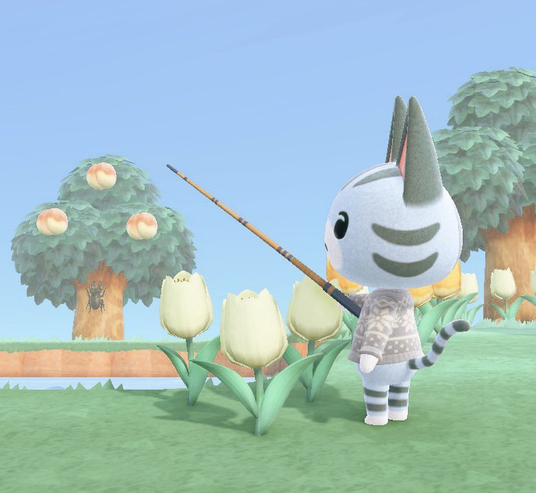 Good night 💌🌿 #ACNH