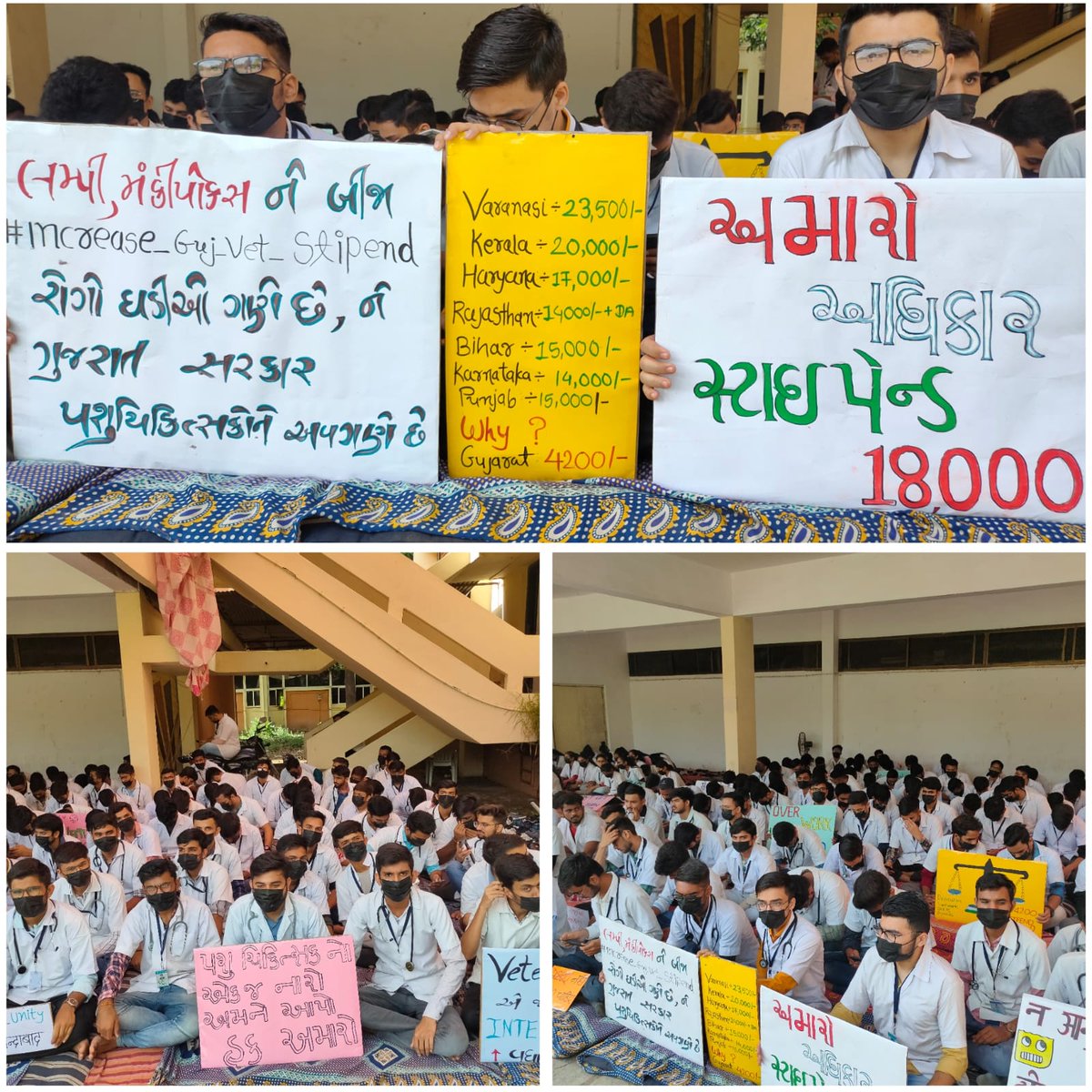 પશુ ચિકત્સકો નો એક જ નારો
     અમને આપો હક અમારો
PAY US A RESPECTABLE AMOUNT!!
Increase our stipend to 18000 per month
#Increase_Guj_Vet_Stipend
#Guj_vet_union
<a href="/PMOIndia/">PMO India</a> <a href="/CMOGuj/">CMO Gujarat</a>
<a href="/RaghavjiPatel/">Raghavji Patel</a> <a href="/sanghaviharsh/">Harsh Sanghavi</a>
<a href="/PRupala/">Parshottam Rupala</a> <a href="/KanuDesai180/">Kanu Desai</a>