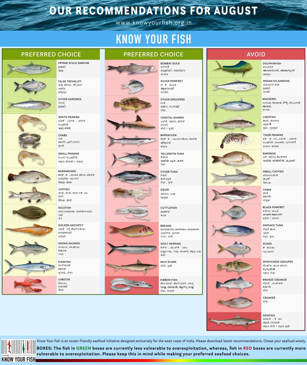 Know Your Fish tweet media