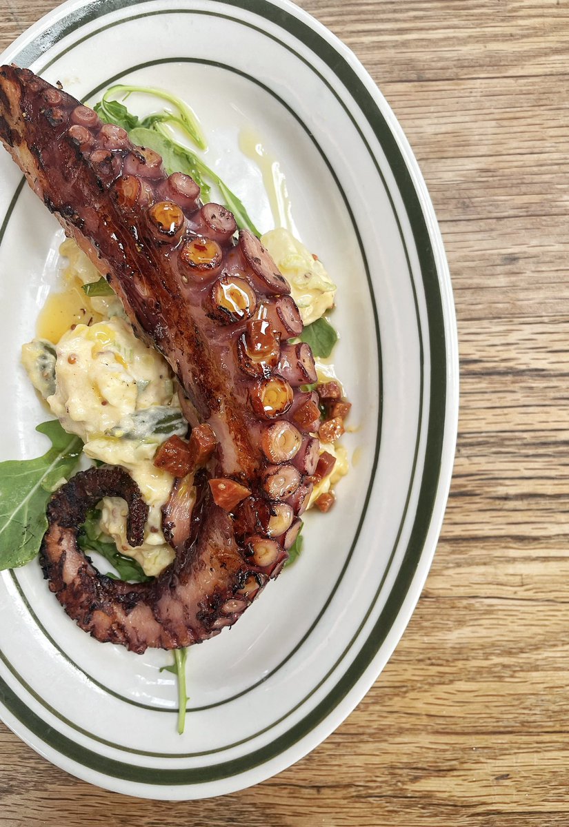 GilbertDSanchez's tweet image. The last picture on my phone #octopus #littleowl