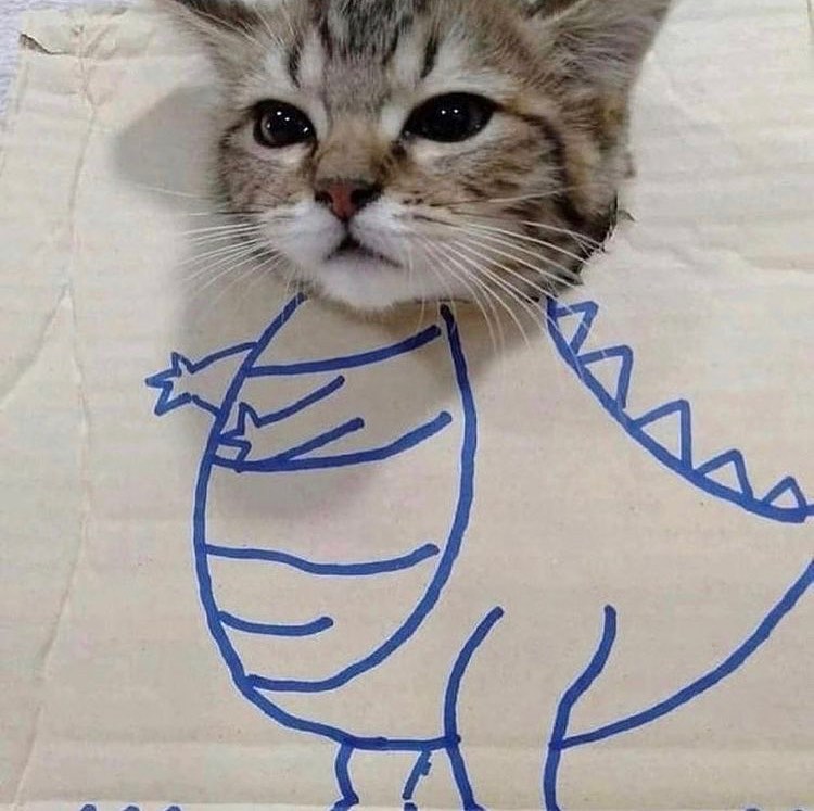 cats being weird little guys 👅 tweet media