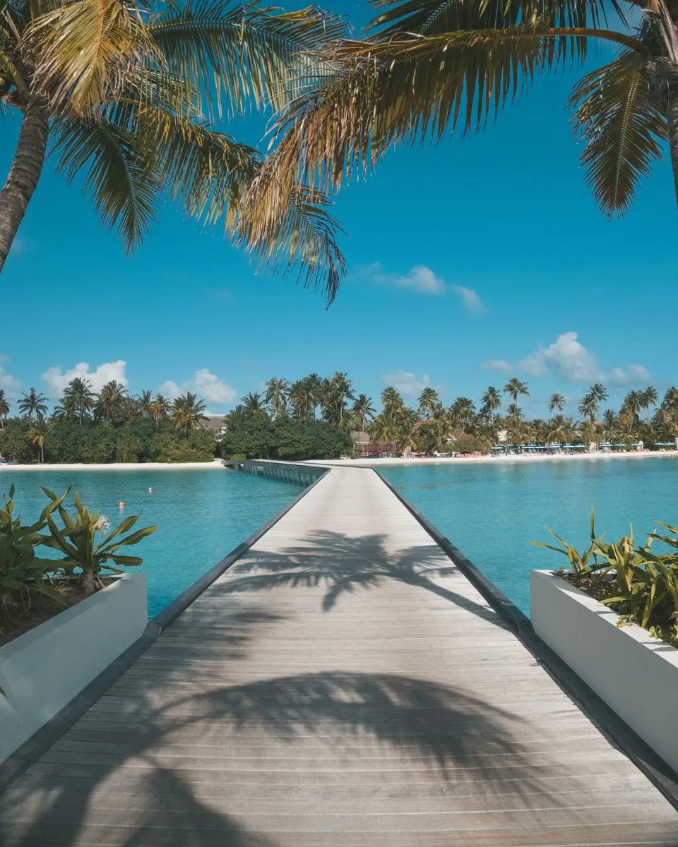 ReolloTravel's tweet photo. “Wherever you go, go with all your heart”- Confucius
@KandimaMaldives 

#MyKindOfPlace #KandimaMaldives #AnythingButOrdinary #ReolloTravel 

Phone: +960 3346004 
Email: reservations@reollo.travel
 Website: https://t.co/buqTPZS9oV https://t.co/9NXOHXBWby
