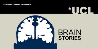 <a href="/UCLBrainstories/">UCL BrainStories</a> latest podcast features Professor Hugo Spiers @hugospiers
Listen to hear about <a href="/seaheroquest/">Sea Hero Quest</a> <a href="/taxibrains/">Taxi Brains</a> and Benedict Cumberbatch
buff.ly/3gWStQ2 <a href="/EP_UCL/">UCL Experimental Psychology</a>